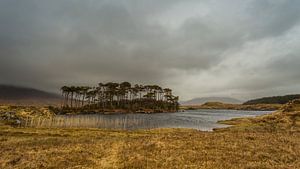 Île solitaire sur Richard Reuser