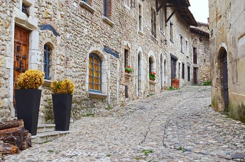 Medieval City of Perouges - Old Stone Paving Street