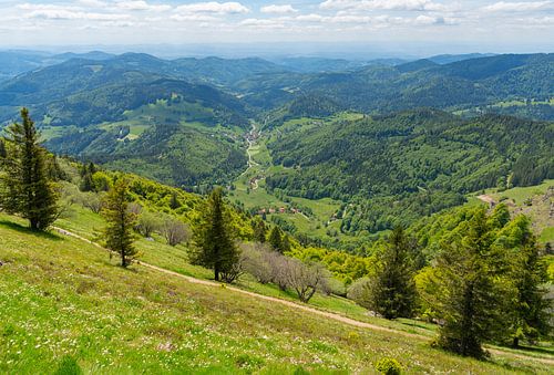 Rondom de Belchen in het Zwarte Woud