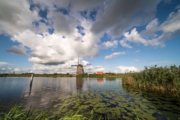 Kinderdijk in Holland van Marcel Derweduwen