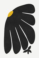 Marguerite noire