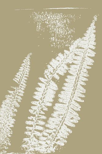 Pastel Botanicals. Gedrukte plant. Witte varenbladeren op beige