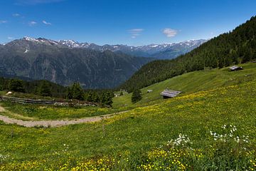 Op de Hirzer in de Sarntal Alpen van Martina Weidner