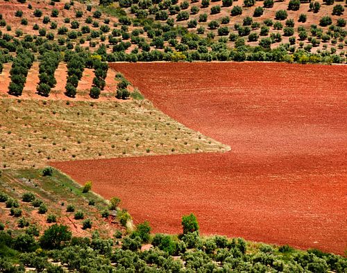 Red earth