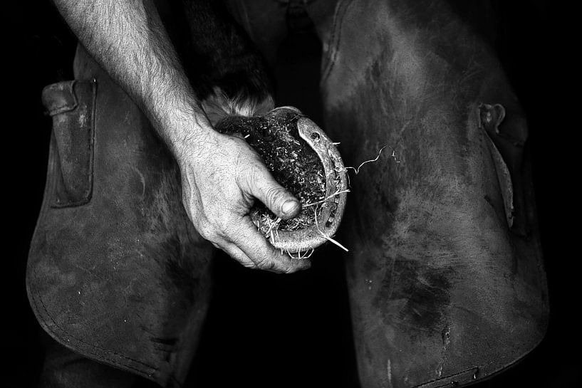 Farrier in Ireland by Wybrich Warns
