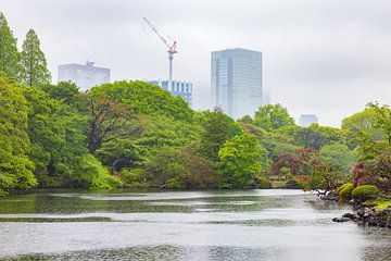 Shinjuku Gyoen National Garden (Japan) by Marcel Kerdijk