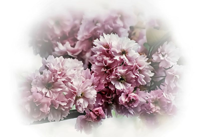 Cherry Blossom Romantic Pink Vintage by Marlika Art