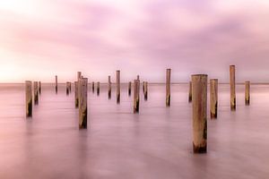 Palendorp Petten 9