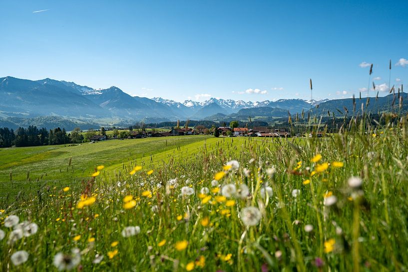 Spring on the Wittelsbacher Höhe between Fischen and Ofterschwang in the Allgäu with a magnificent view of the snow-covered Allgäu Alps by Leo Schindzielorz