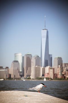 Freedom Tower, New York van Capture the Light