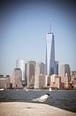 Freedom Tower, New York van Capture the Light thumbnail
