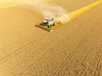 Combaine oogst tarwe in de zomer van bovenaf gezien van Sjoerd van der Wal Fotografie