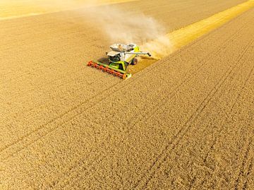 Combaine oogst tarwe in de zomer van bovenaf gezien