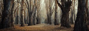 Spaziergang im Wald