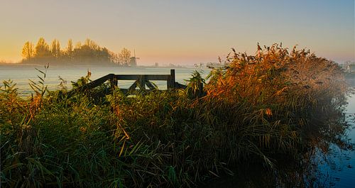 Doorkijkje naar de Dorregeester molen van peterheinspictures