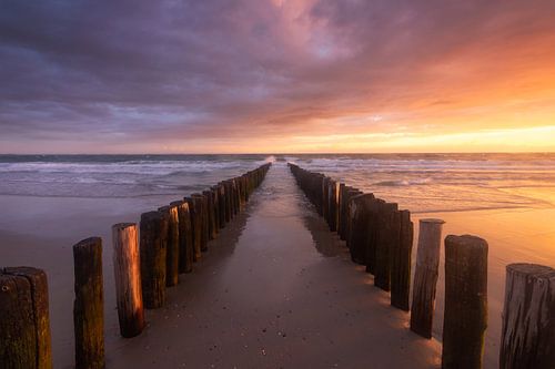 Touched by the Light van Arnoud van de Weerd
