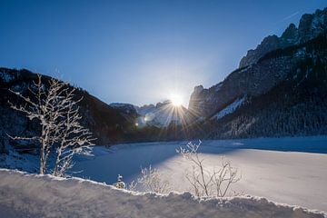 Zonsopgang over de Dachstein bij de besneeuwde voorgevel Gosausee van Sonja Birkelbach