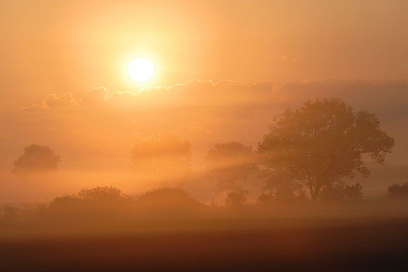 Zauberland... Sonnenaufgang *im Nebel* van wunderbare Erde