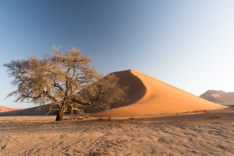 Dune 39, in sossusvlei van Felix Sedney