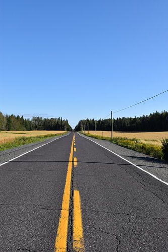 Een landweg in de zomer
