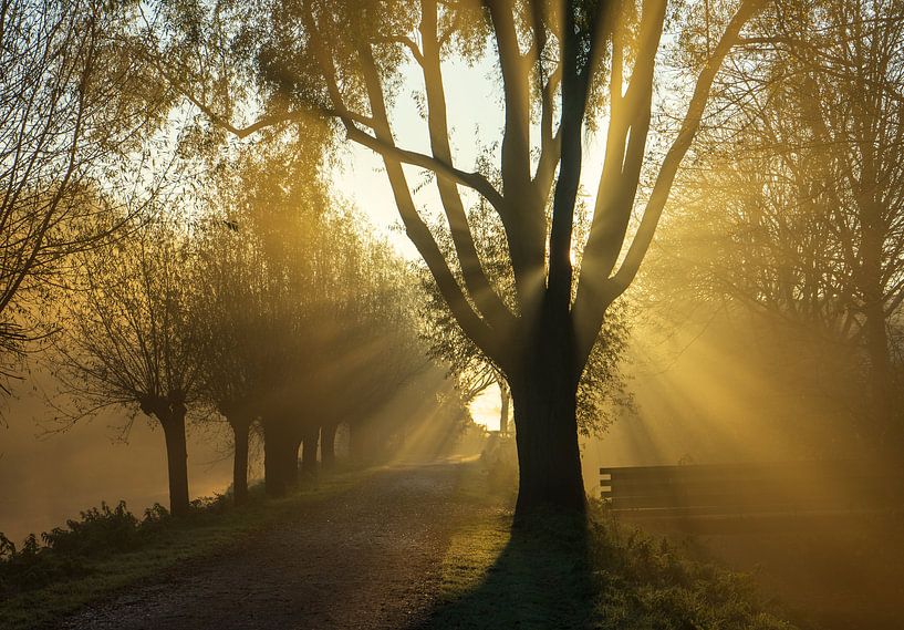 It's a kind of magic! by Amanda van den Berg / Fotografie Amanda