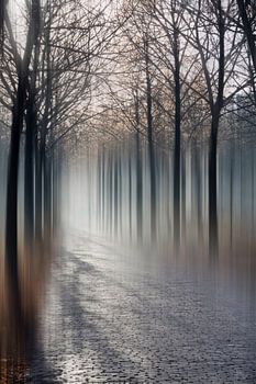 Een abstracte afbeelding van een pad naar een onbekende bestemming.