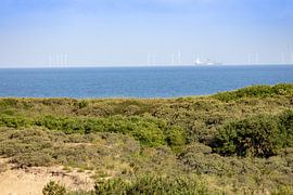 Outlook by Michael Ruland