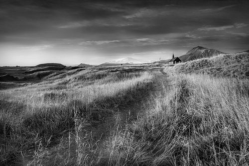 IJslands landschap in zonlicht. Zwart-wit beeld.