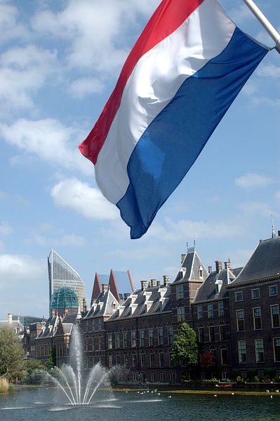 Hofvijver by Richard Wareham