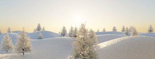 Golvend sneeuwlandschap met witte dennenbomen in het avondlicht