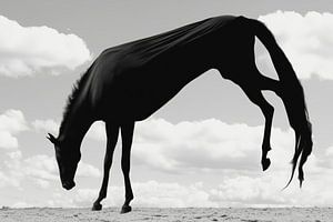 Schaduw van Gratie - Surrealistisch Paard in Beweging