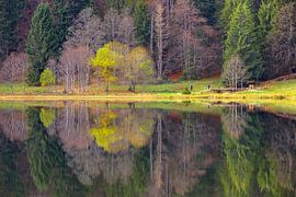 Feldsee Zwarte Woud III van Patrick Lohmüller
