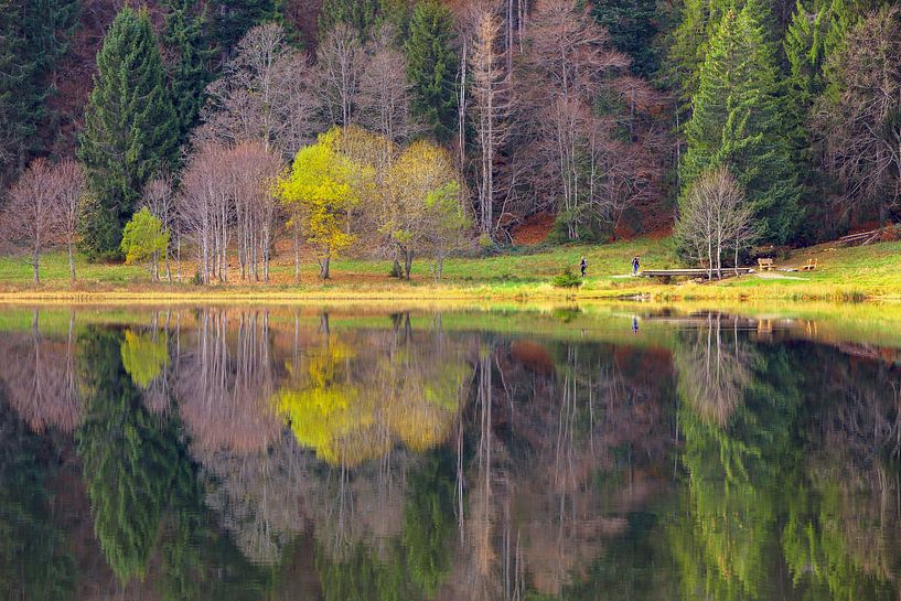 Feldsee Zwarte Woud III van Patrick Lohmüller