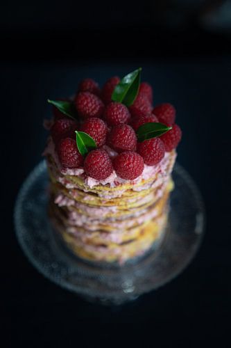 Lebensmittel Foto Himbeere