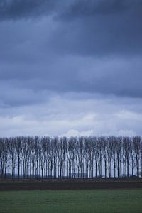 Zeeland: een stemmig winterlandschap in de polders