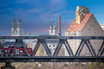 Magdeburg - kompakt im Bild von t.ART