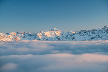 Alpenglühen über dem Hochvogel und den Allgäuer Alpen