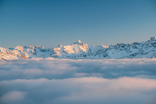 Alpengloren over de Hochvogel en de Allgäuer Alpen