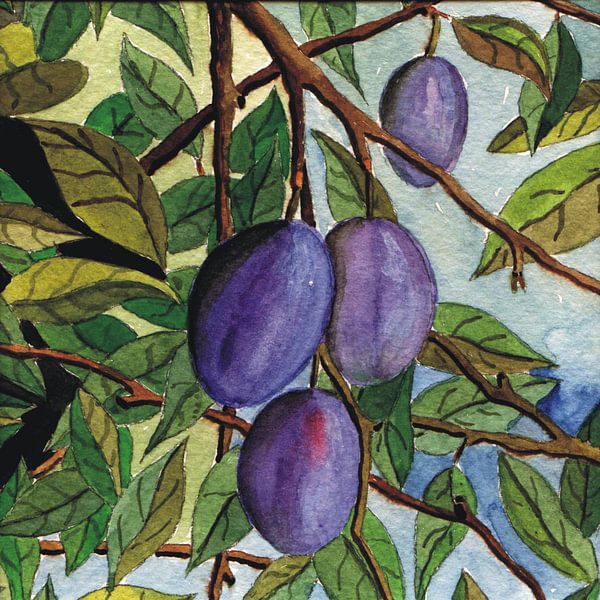Plums on the branch by Thomas Suske