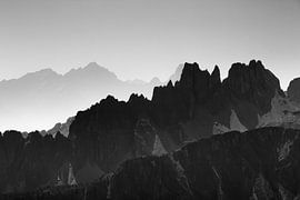 Rigid Lines von Dion van den Boom