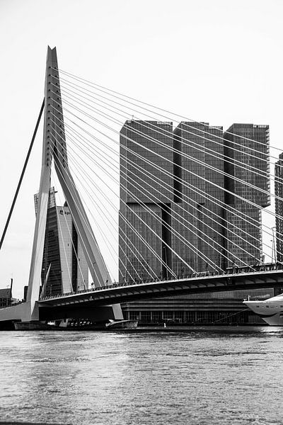 Erasmus Bridge by Rene scheuneman