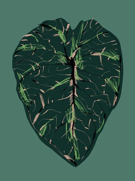 Alocasia Melo Dark by Francesco Gulina