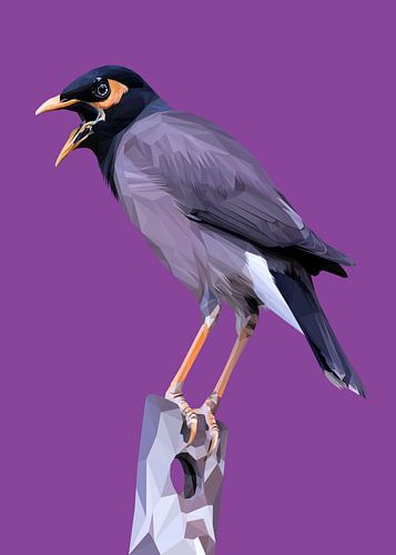 Vogel met paarse achtergrond Laagpolig