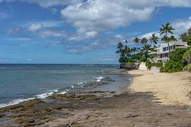 View of the Pacific Ocean. by Jaap van den Berg