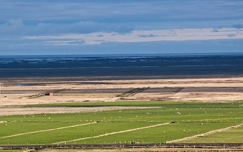 Landschap IJsland