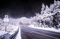 De weg naar Mount Lemmon van Chiel Lammers thumbnail