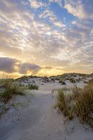 Terschelling and the beautiful nature of De Boschplaat