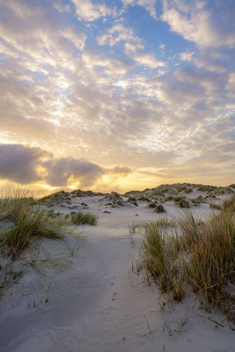 Terschelling en de prachtige natuur van De Boschplaat
