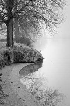 Rivieroever met bakenbomen in de mist van FHoo