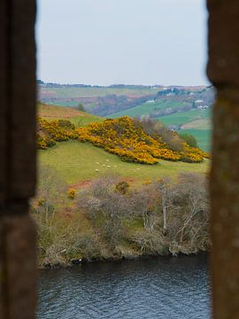 Schots landschap gezien vanuit een kasteel van Koen Leerink